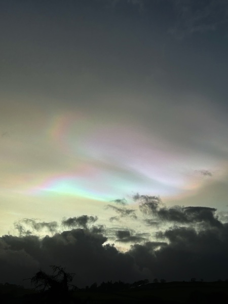 Did you see the pearl clouds today?