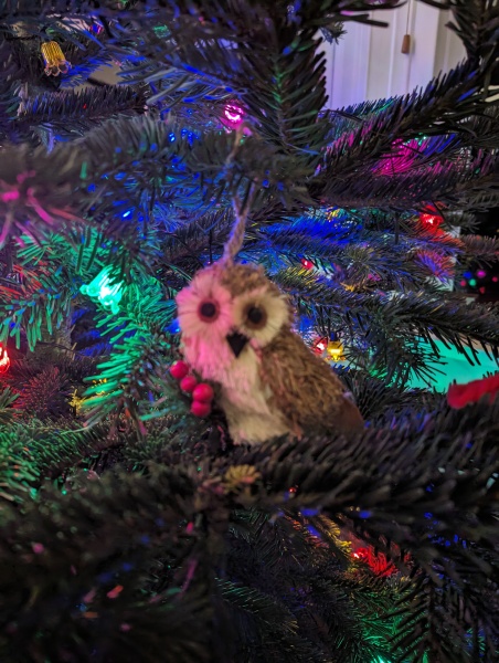 The ultimate SHOW US YOUR TREE megathread!