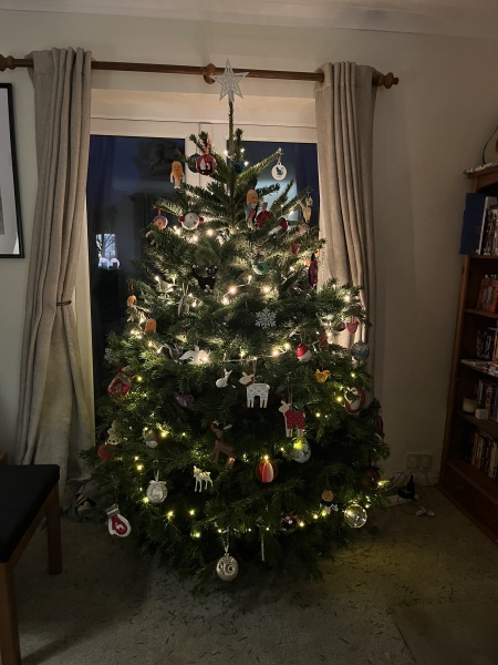 Can I see your Christmas tree?