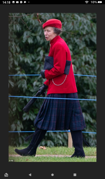 Royal Style: silk, stomachers, sapphires and plenty of sass