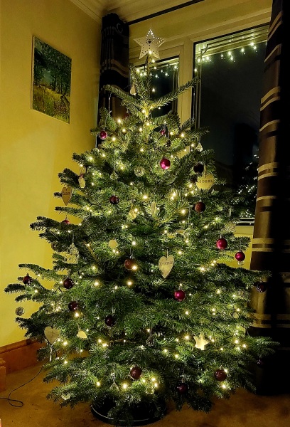 The ultimate SHOW US YOUR TREE megathread!