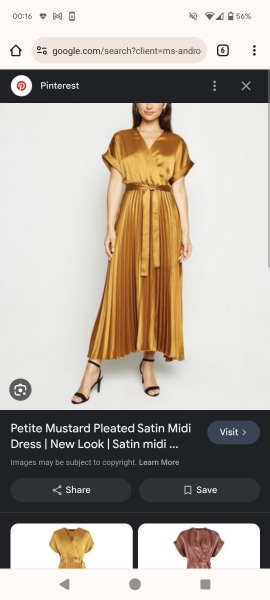 1920s style