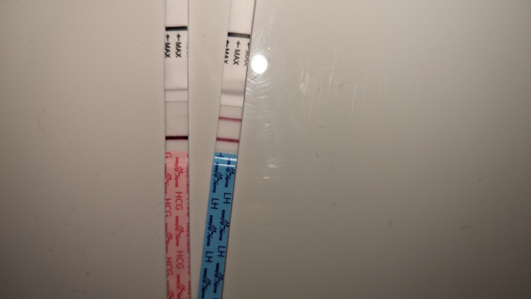 A line eye enthusiast #2