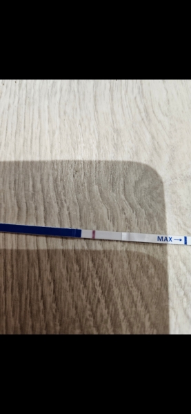 Early pregnancy test