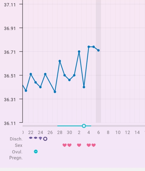 New to BBT - pls help