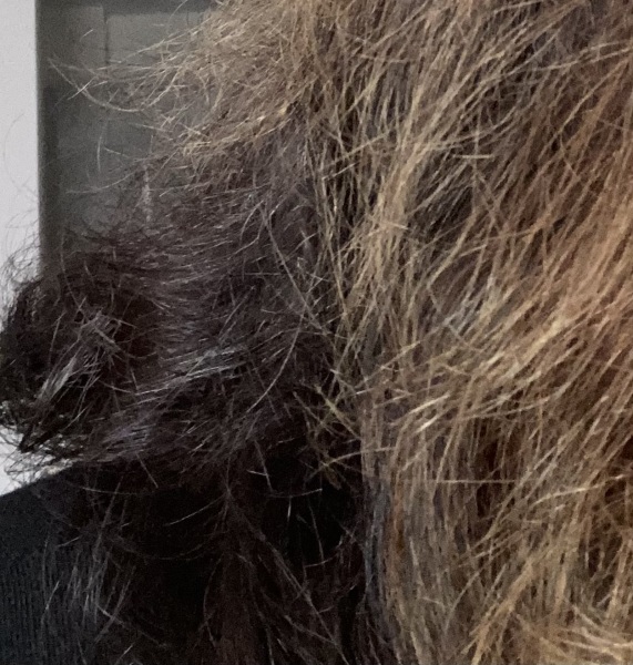 A hair colour one - my error or theirs?