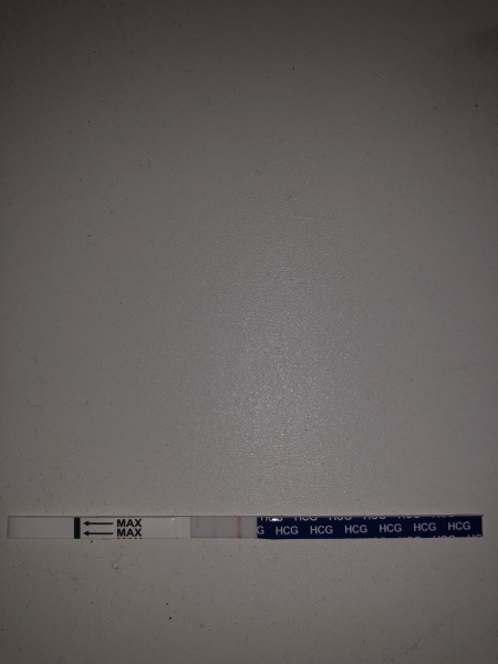 What is this?