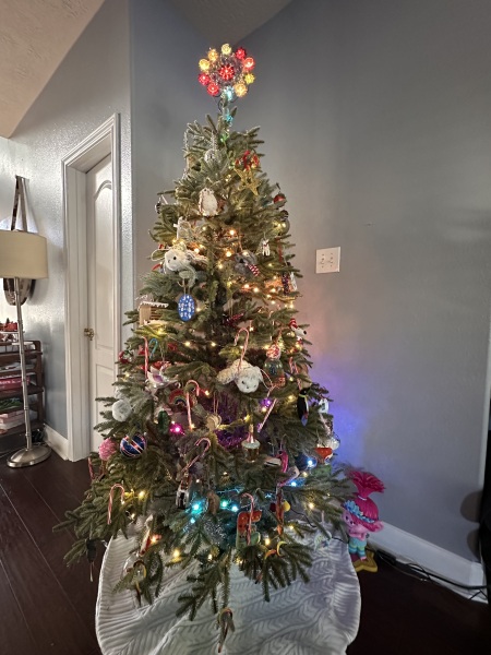Can I see your Christmas tree?