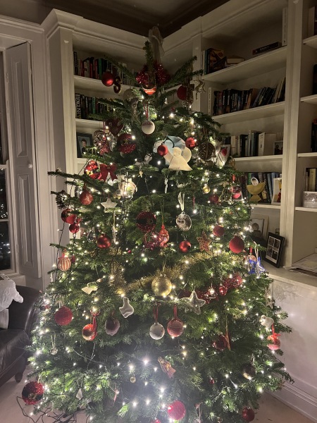 The ultimate SHOW US YOUR TREE megathread!