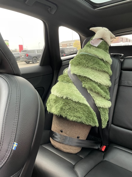 Liking children’s things as an adult