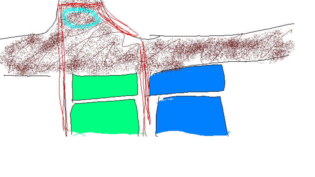 Neighbour denying responsibility for his visitors trespassing
