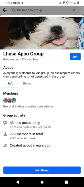 Puppy crying all night