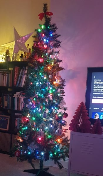 Can I see your Christmas tree?