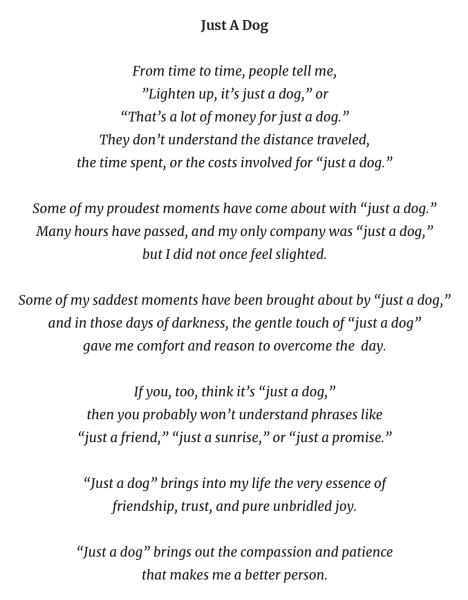 AIBU to not want to keep our dog away from us on Christmas Day?