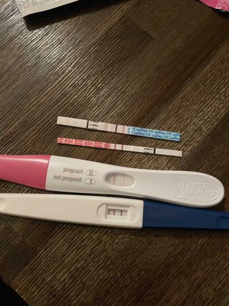 Dye stealers BFP