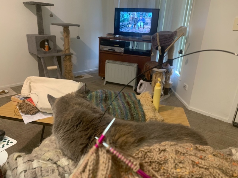Christmas with the Excellent Cats