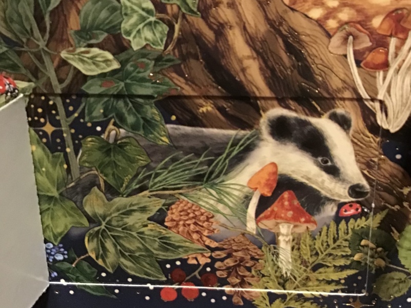 Picture advent calendars that add to the scene rather than have random pictures behind the doors