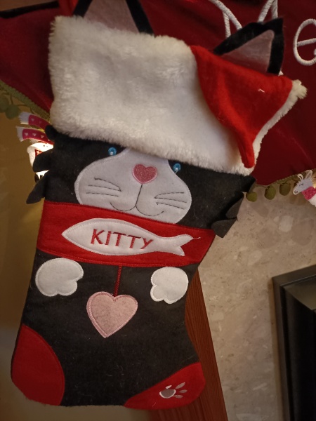 Does anyone buy there cat a present for Christmas?