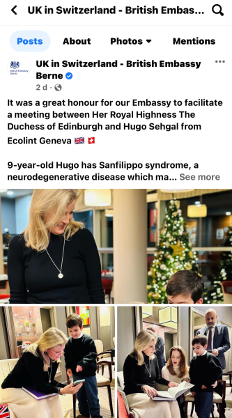 Royal Style: silk, stomachers, sapphires and plenty of sass