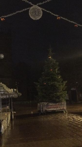 Is this the most rubbish tree you’ve seen in a town?