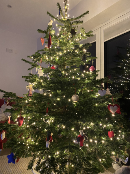 Can I see your Christmas tree?