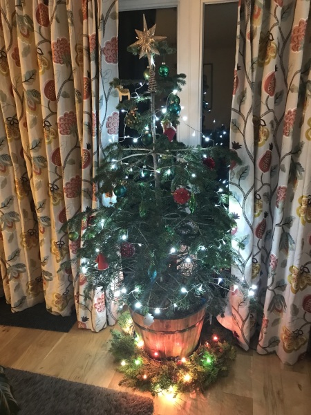 To find real Christmas trees sad?
