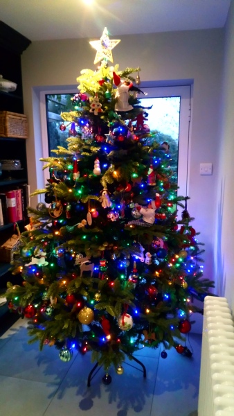 Can I see your Christmas tree?