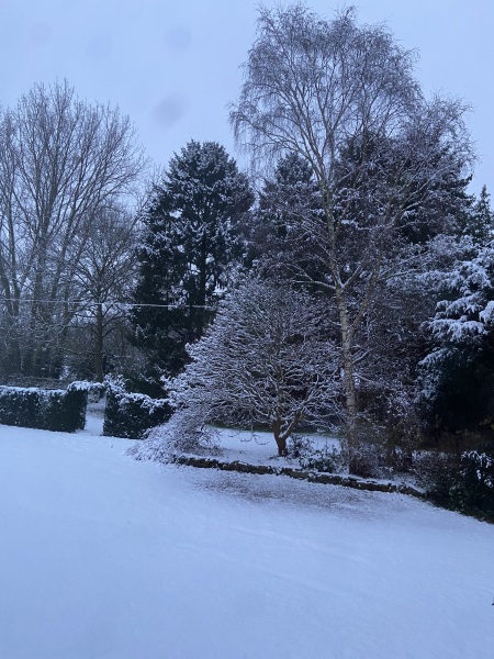 Nigel Slater Christmas Chronicles Read Along 2023 - Part Two