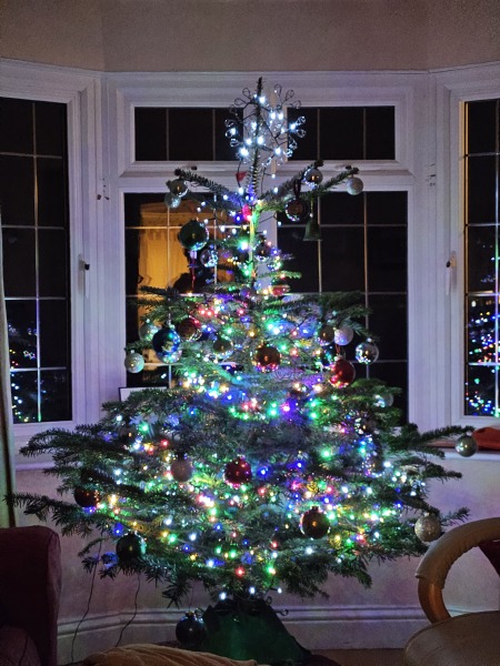 Have you put your tree up yet?
