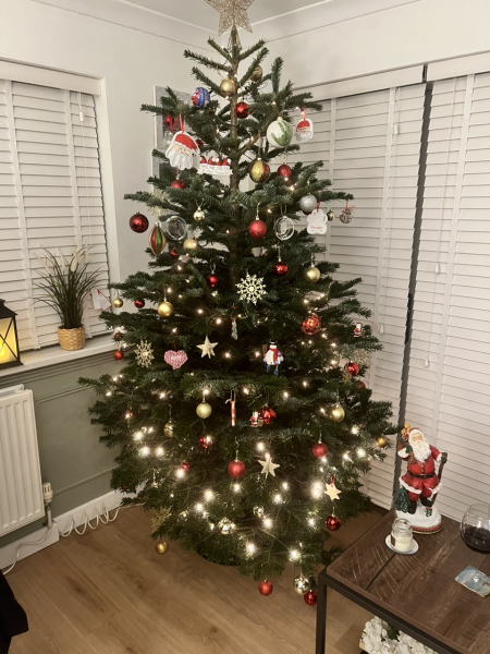 Can I see your Christmas tree?