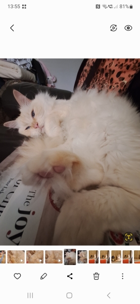 Autistic Women Assemble! #2