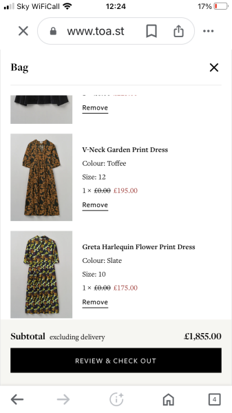 Toasties enjoying sale buys and waiting for Santa