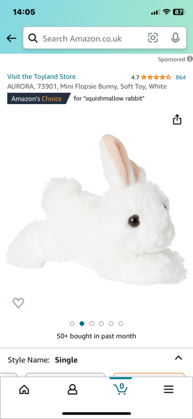 To think Mumsnetters can help me find this toy for Christmas....