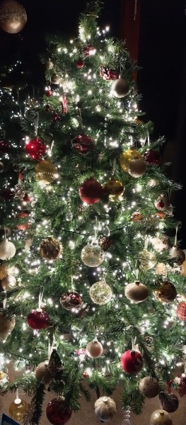 Can I see your Christmas tree?
