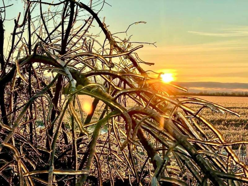 Ukraine Invasion: Part 46