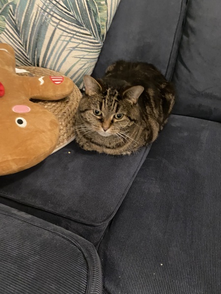 Frugal Friends Facing Forward with Fortitude