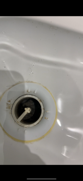 To think the rental should've been cleaned??