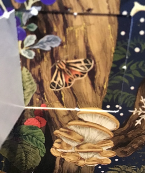 Picture advent calendars that add to the scene rather than have random pictures behind the doors