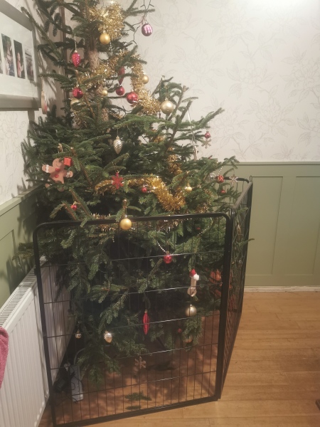 Puppy Survival Thread - for old and new pups heading into winter