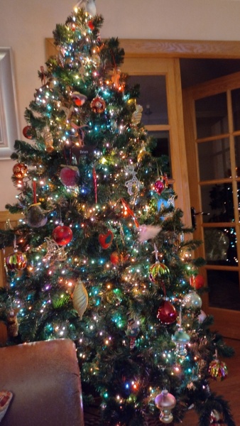 Coloured Christmas tree lights