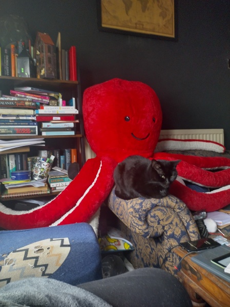 The Very Eventful Lives of the Excellent Cats