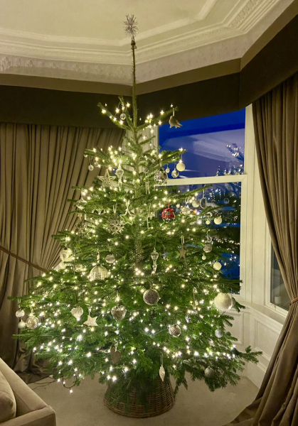 Can I see your Christmas tree?