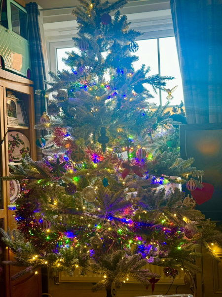 Can I see your Christmas tree?