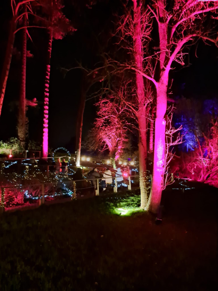 Come and tell me your dull and unexciting news 27: Calmly through the day