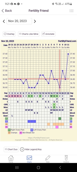I can't figure out, have I ovulated? when?