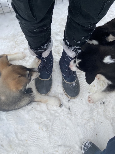 The Great Recovery! After cancer what next?