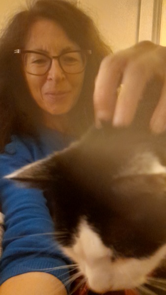 cat sitting for Christmas