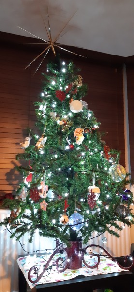 Can I see your Christmas tree?