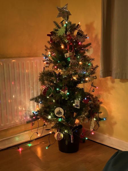 Can I see your Christmas tree?