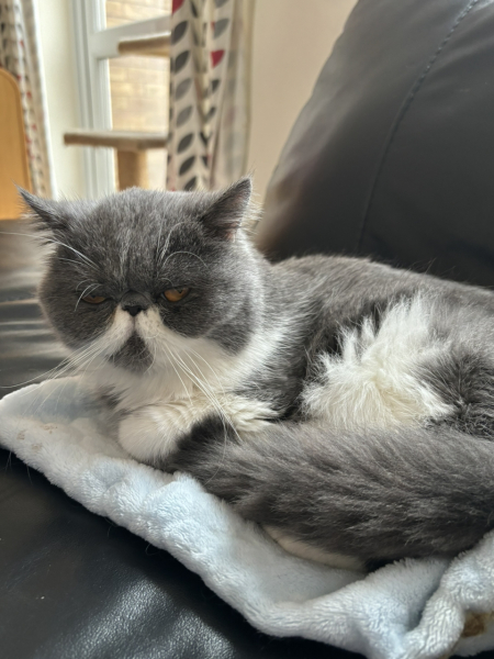 Potential new inmate at Toddler Towers.